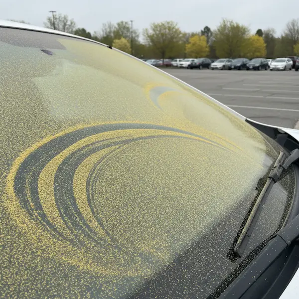 Pyłki brzozy na szybie samochodu w kwietniu – powód do wymiany filtra kabinowego w Głogowie